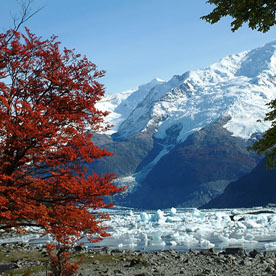 USHUAIA - EL CALAFATE