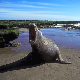 BUENOS AIRES - PUERTO MADRYN