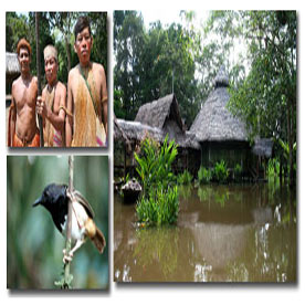 IQUITOS - LODGE - FULL DAY IN THE YANAYACU RIVER