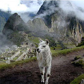 CUSCO - MACHU PICCHU