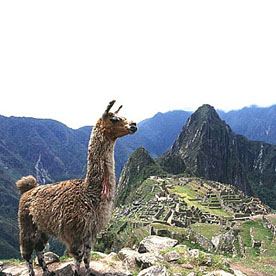 Aguas Calientes – Machu Picchu - Cusco